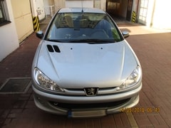 Čelní sklo Peugeot 206 2